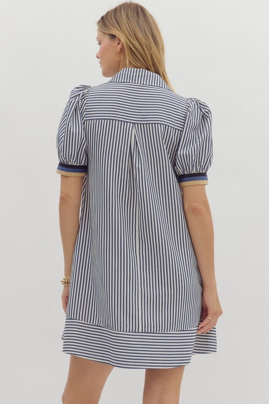 THE STRIPED PUFF SLEEVE SHIRT DRESS